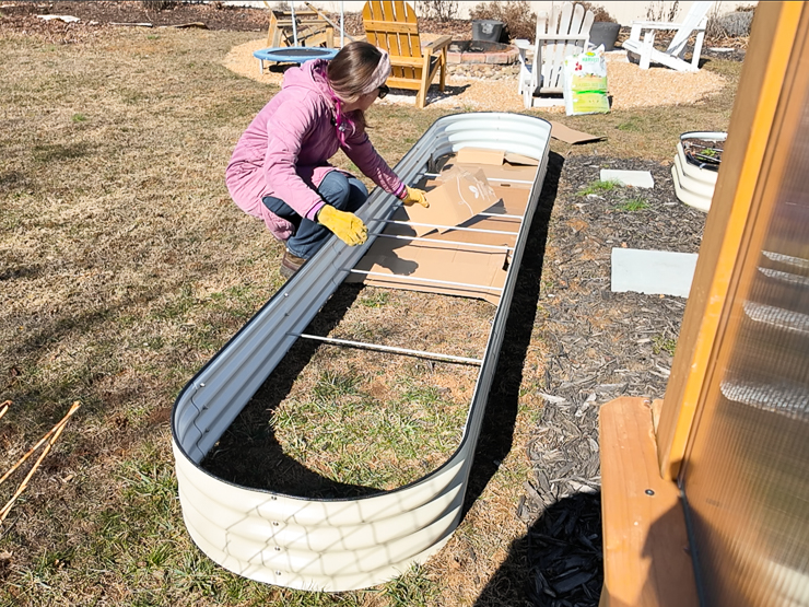 adding cardboard in a vego bed