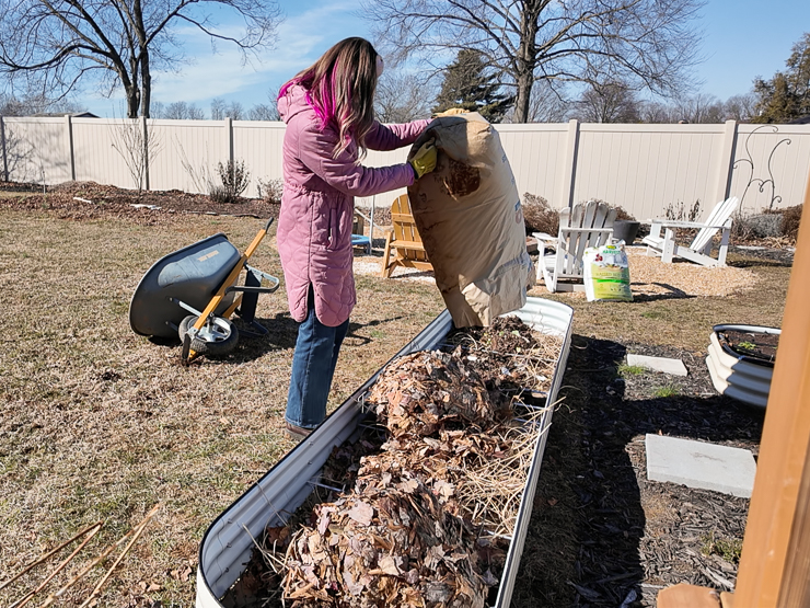 dumping leaves in a raised bed