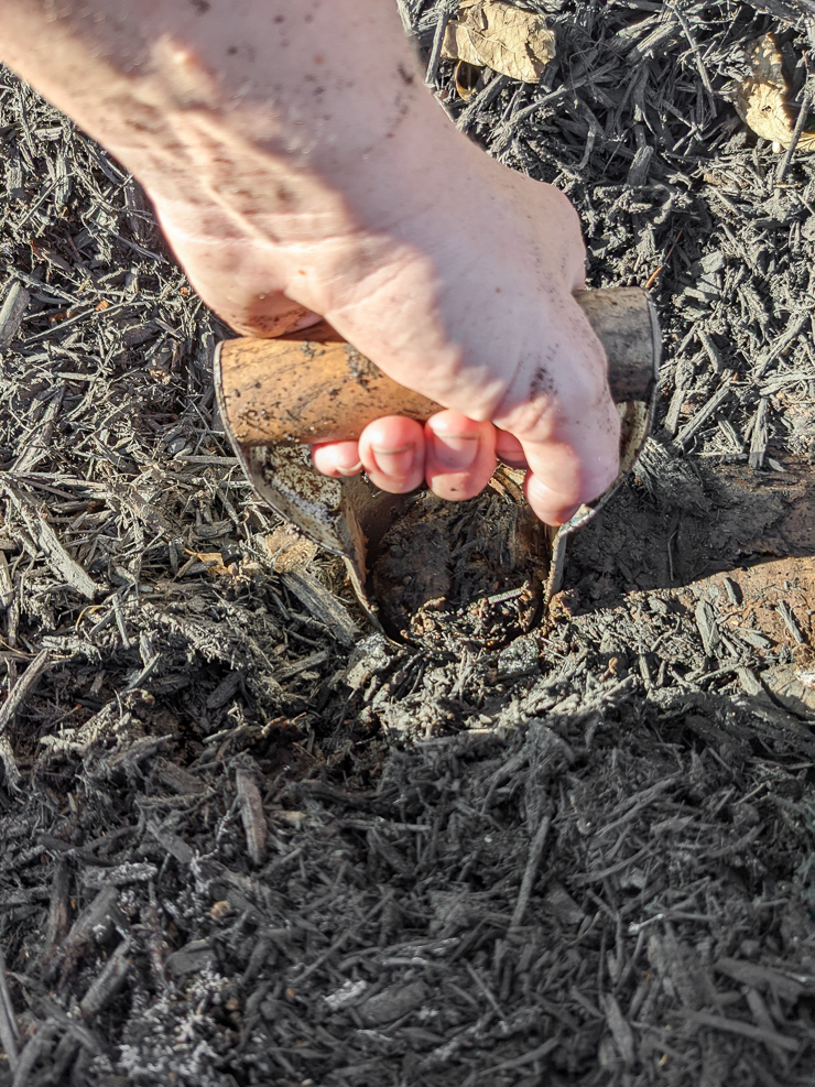 using a bulb planting tool