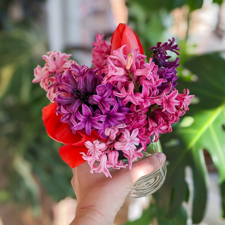 bouquet of hyacinth flowers