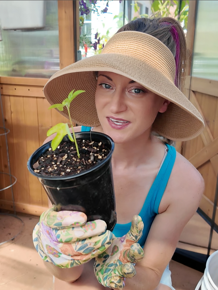 woman holding a maypop propagation