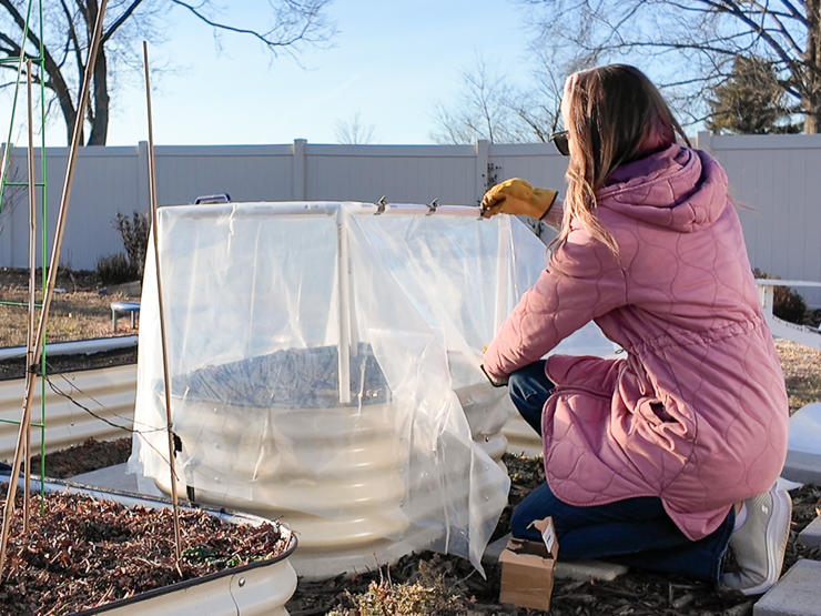 adding plastic to the pvc pipe cold frame