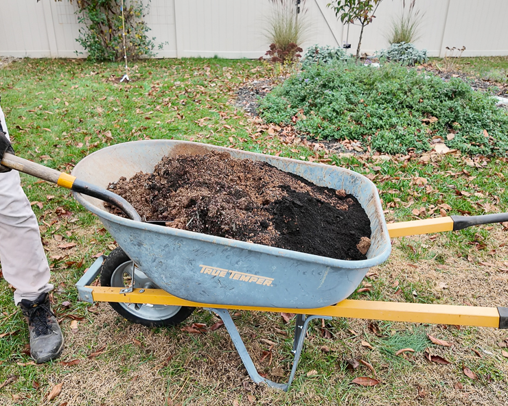 amending soil in a wheel barrow