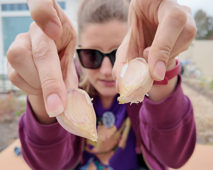 woman holding garlic cloves
