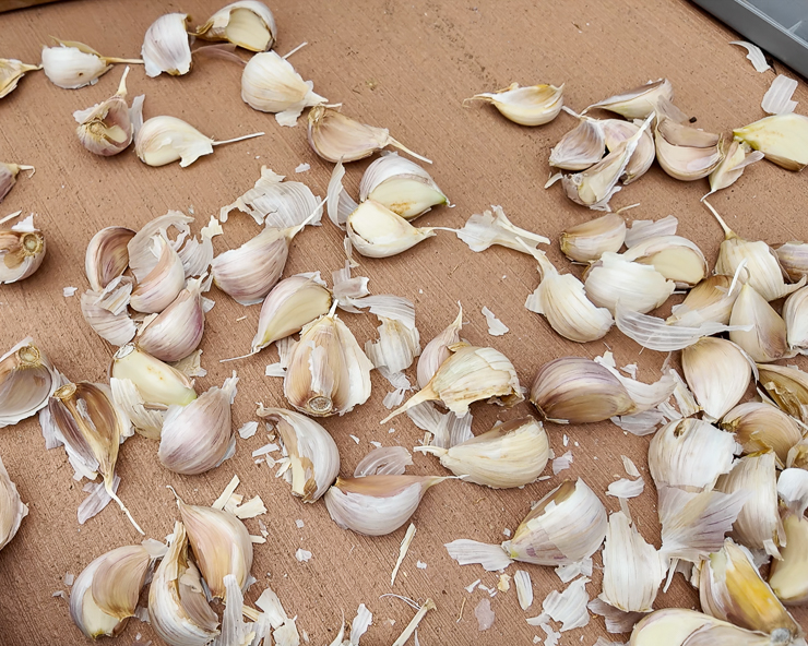 garlic cloves
