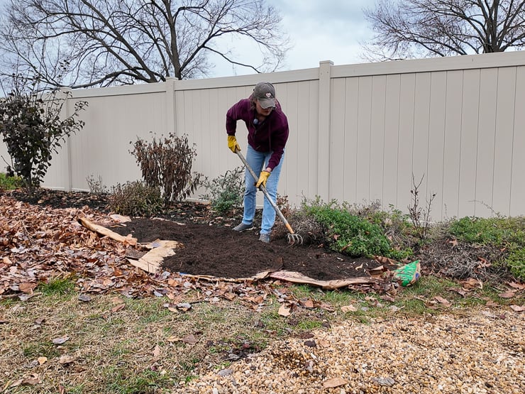 raking out compost