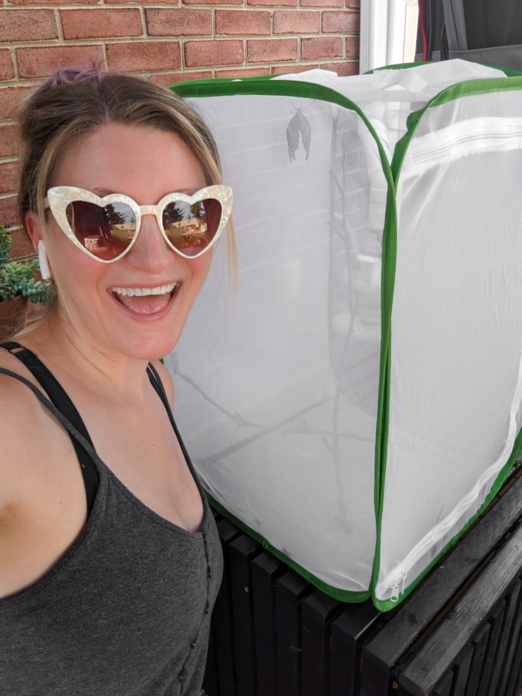 woman excited about butterflies