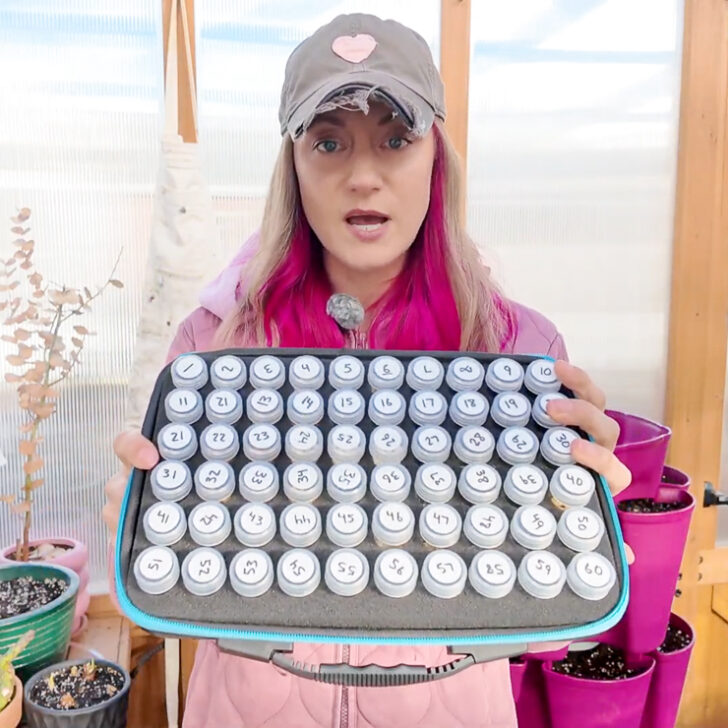 woman holding a seed organizer