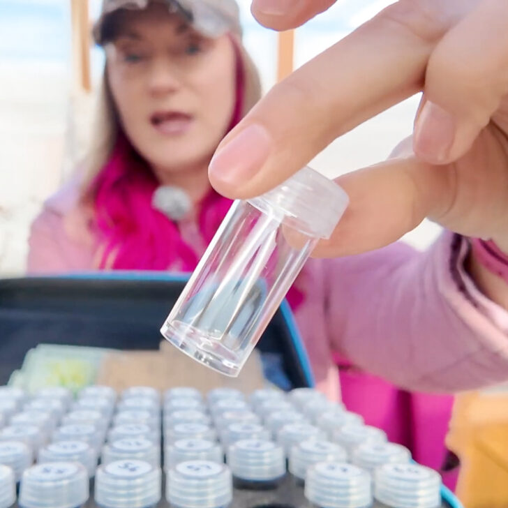 hand holding small vial