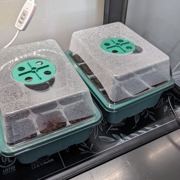 humidity on humidity domes