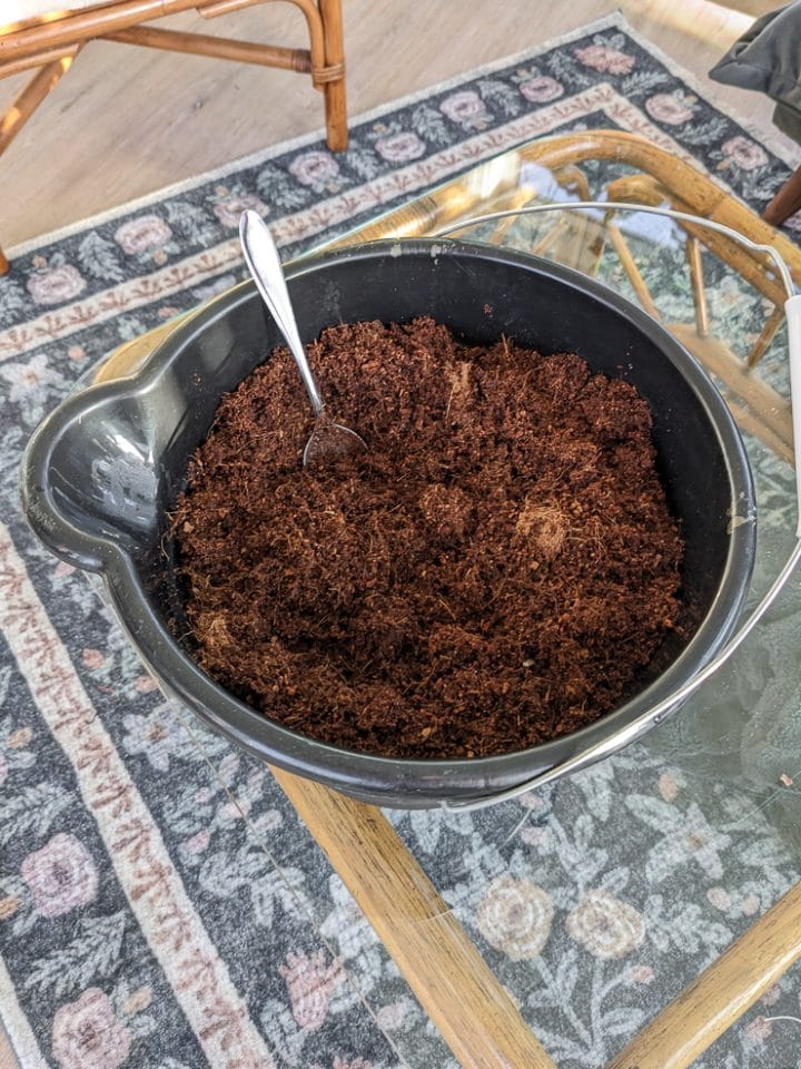 moistening the seed starting mix