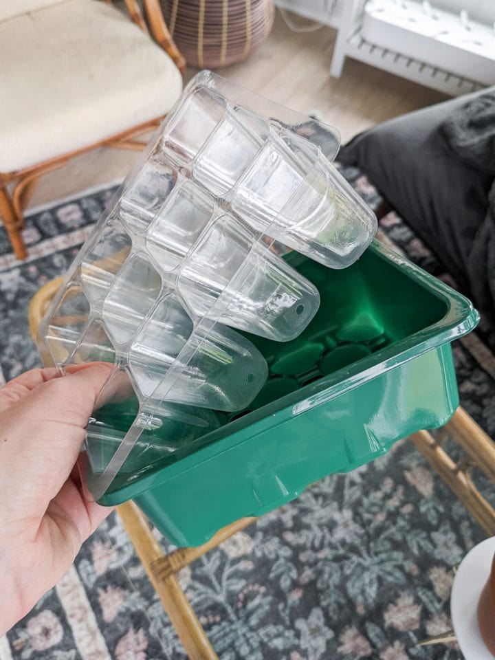 seed starting system