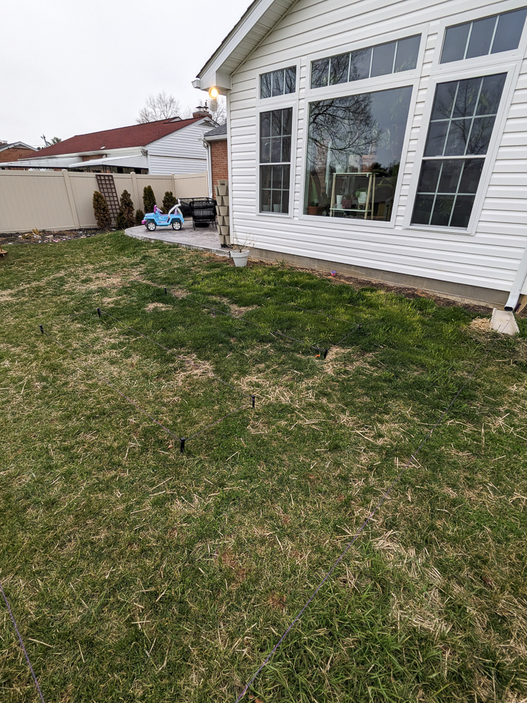 grassy area of yard