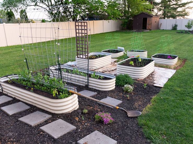 adding more raised beds