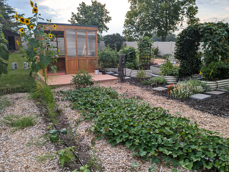 large vegetable garden