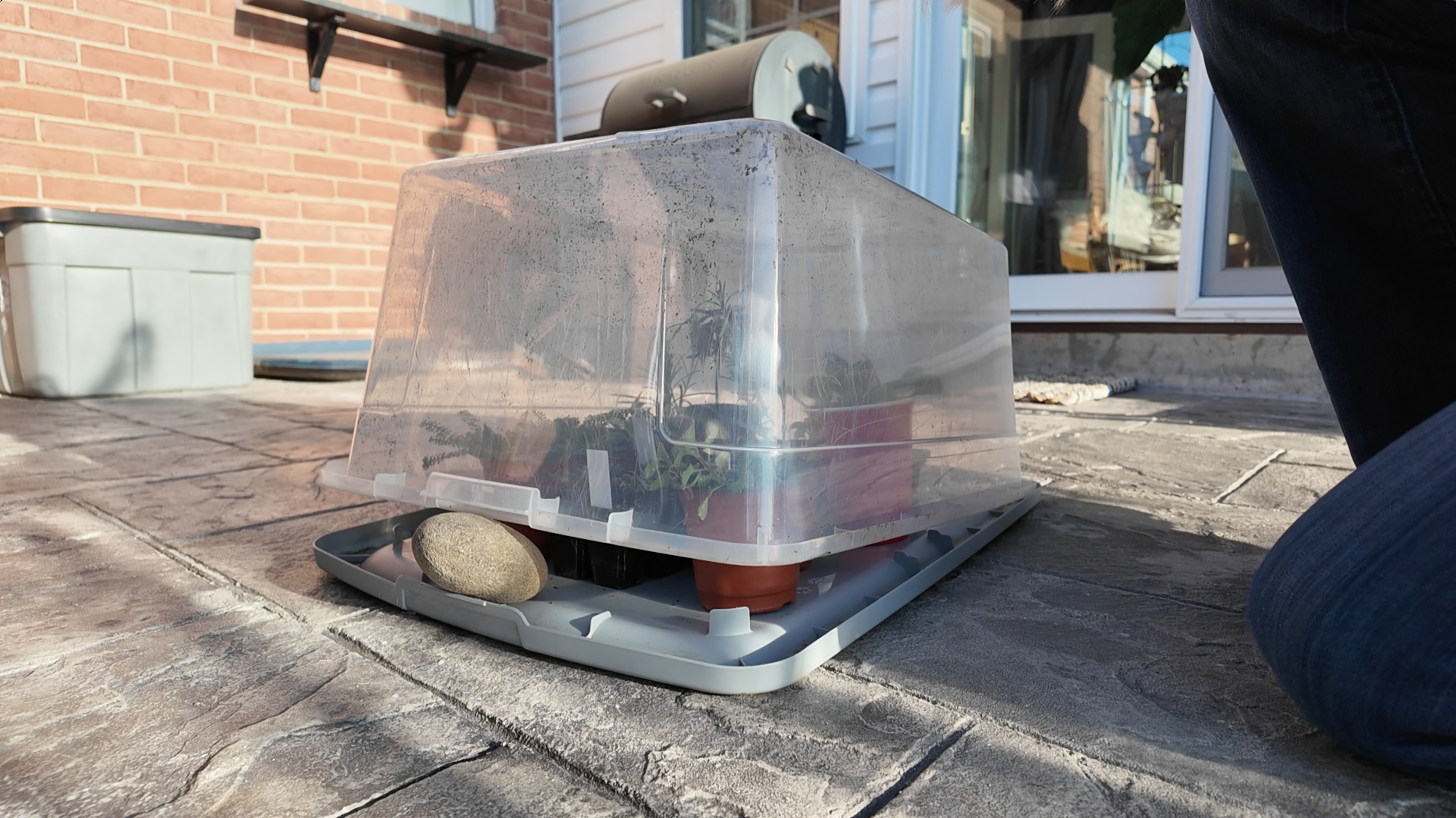 ventilating a storage bin greenhouse