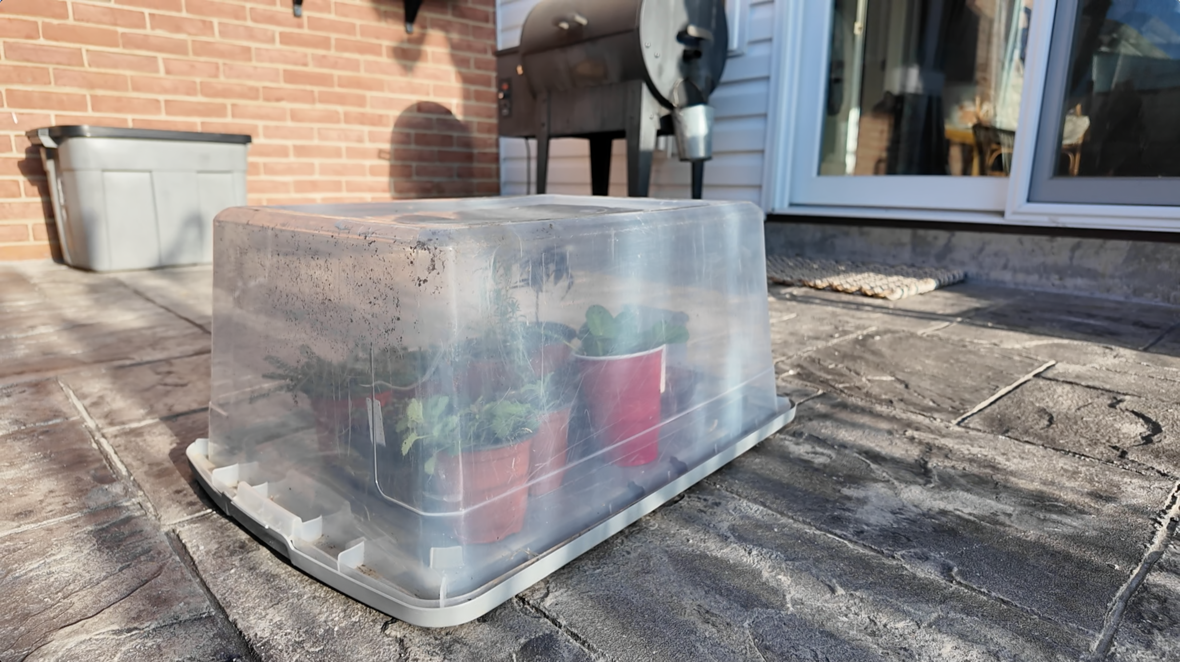 storage bin greenhouse
