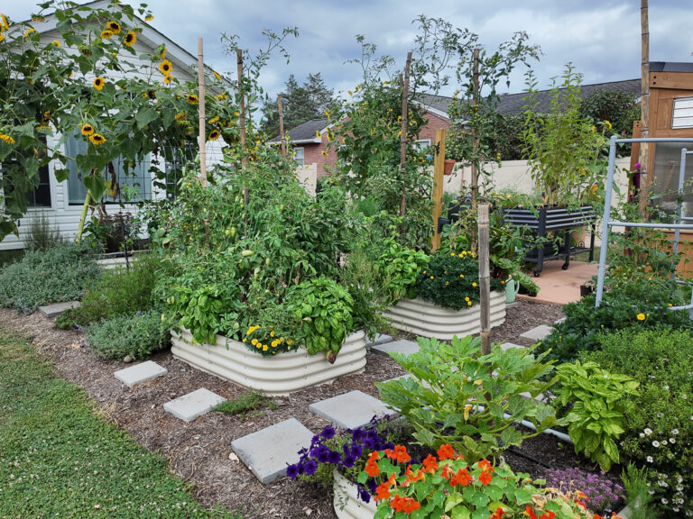 beautiful garden with tomatoes and more