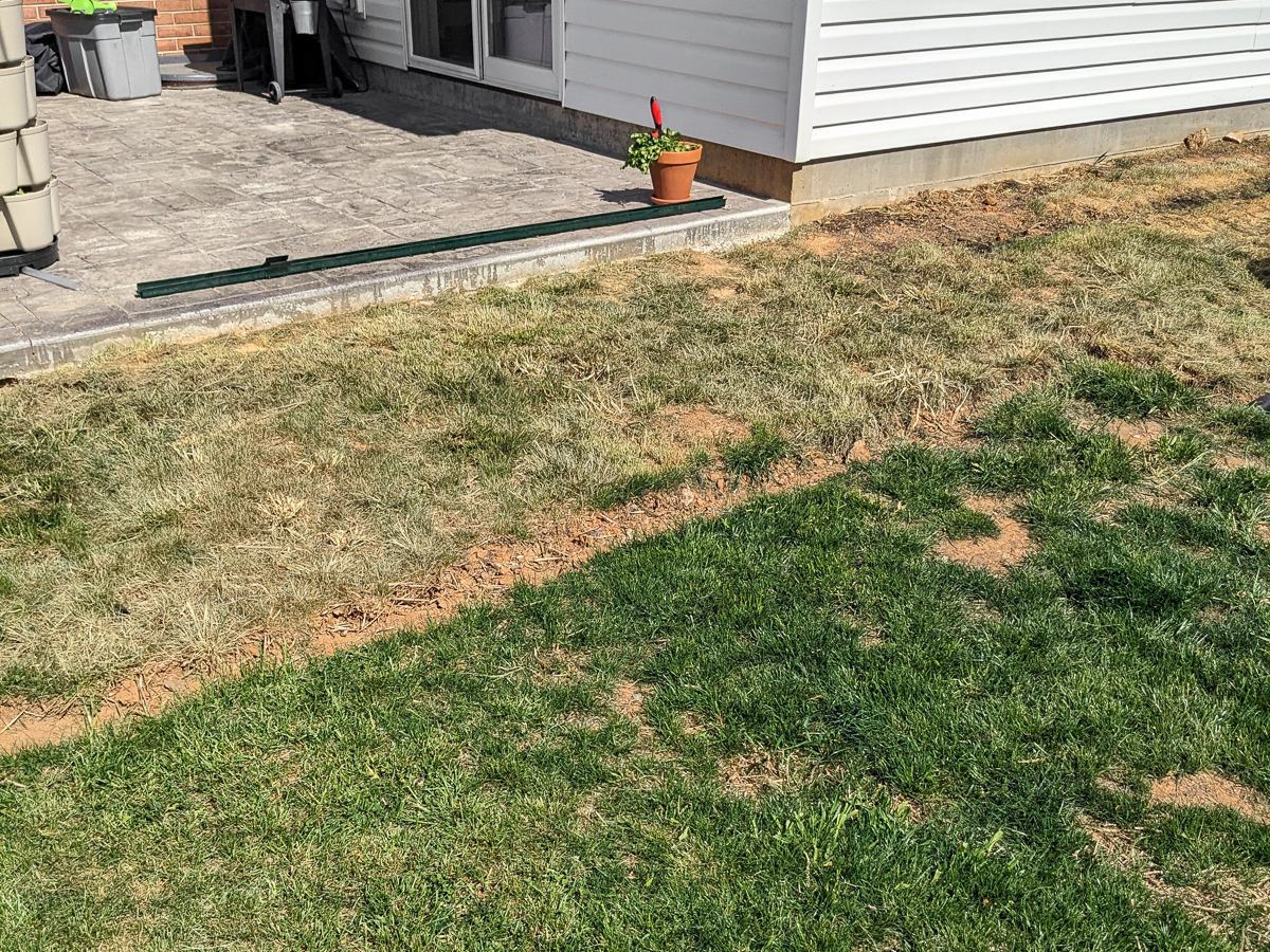 patch of grass killed with vinegar