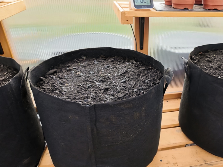 containers with soil