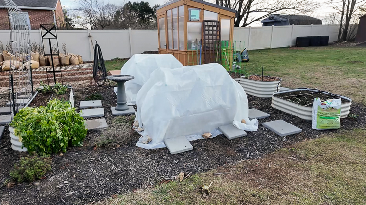 garden in the winter