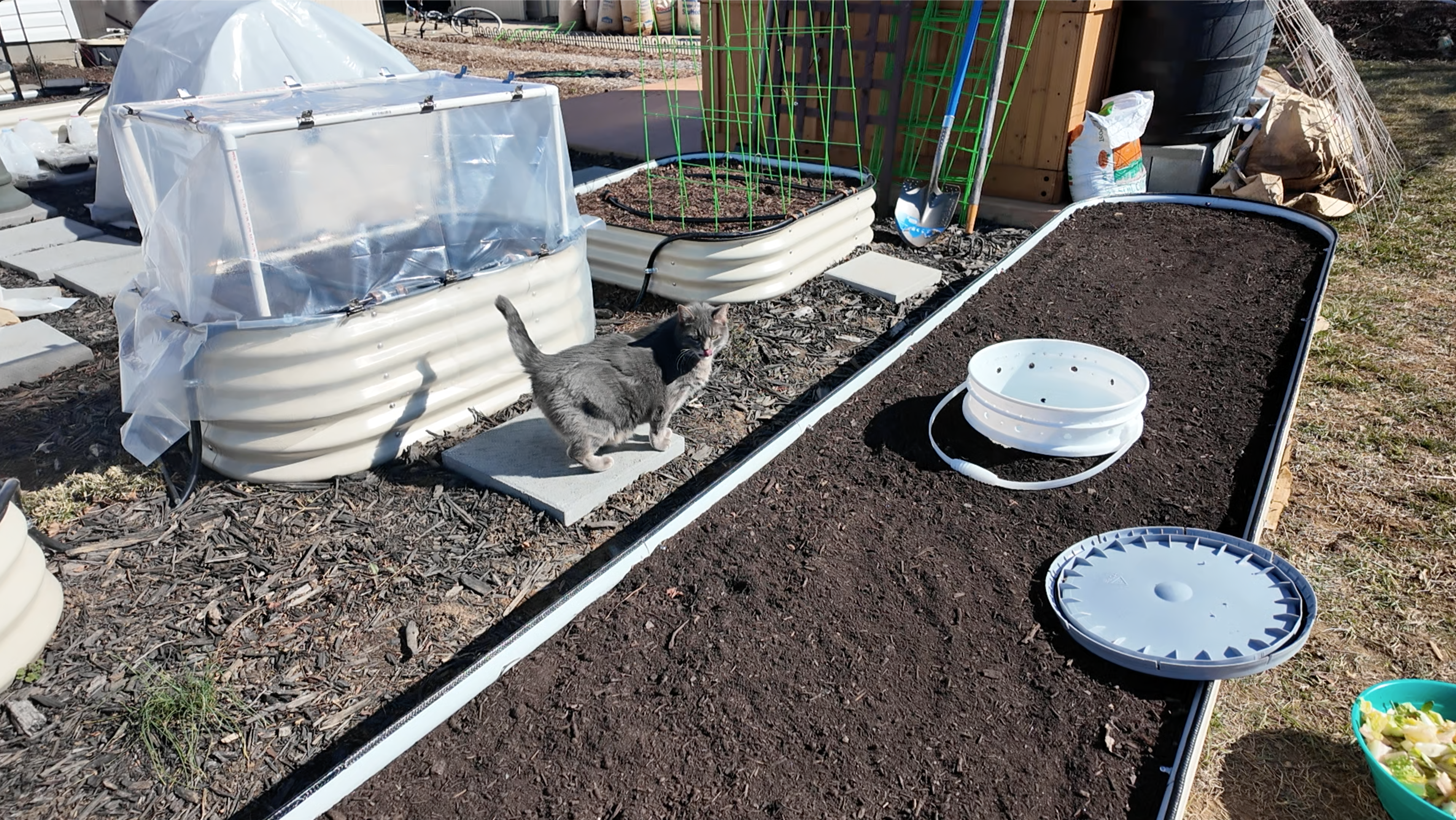 buried bucket in a raised bed
