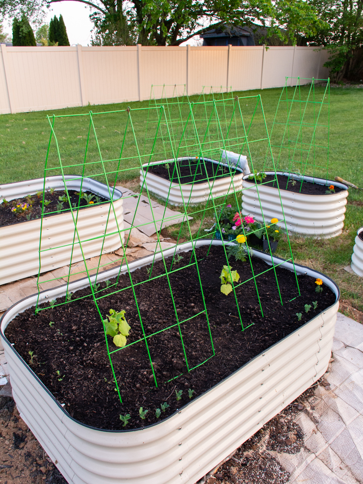 raised beds with a-frame trellises
